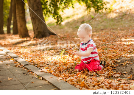 One-year-old baby playing with natural materials leaves and twigs in a warm autumn forest 123582402