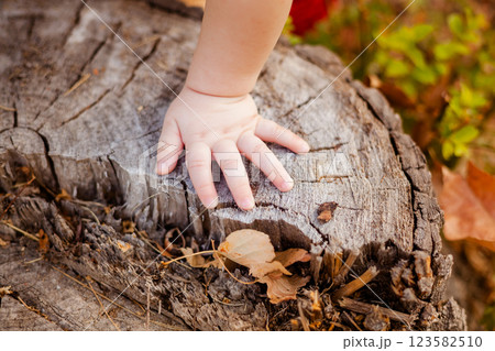Close-up of a tiny baby hand against a wooden tree slice 123582510