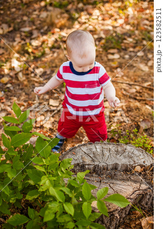 Ten-month-old baby sitting on a felled tree in the autumn forest 123582511