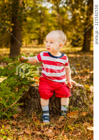 Ten-month-old baby sitting on a felled tree in the autumn forest Ten-month-old baby sitting on a felled tree in the autumn forest 123582538