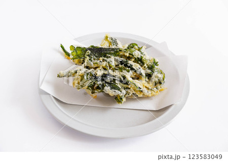 わかめの天ぷら わかめの天ぷら 123583049