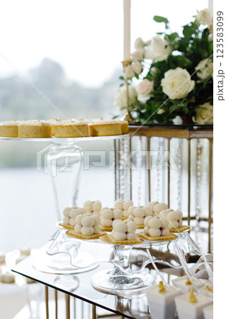 Delicious pastries and mini tarts decorating a table for a wedding reception 123583099