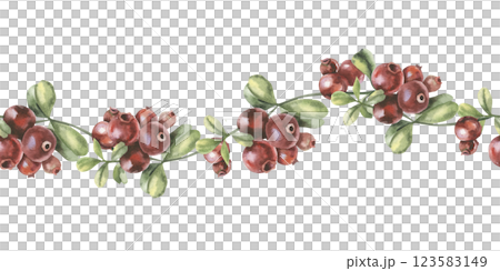 Cranberries branches with berries and leaves watercolor seamless border. Hand drawn forest red berries banner, autumn organic food for product packing ,menu, textile, fabric design 123583149