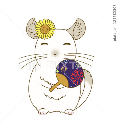 夏祭りの装いをするチンチラ(パイド) 123583308