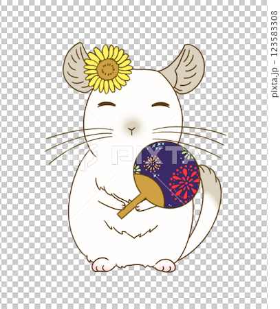 夏祭りの装いをするチンチラ(パイド) 123583308