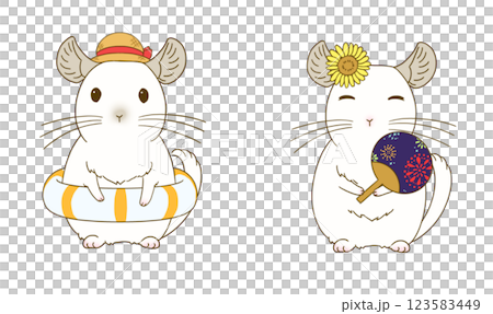 Summer chinchilla illustration set (white) Summer chinchilla illustration set (white) 123583449
