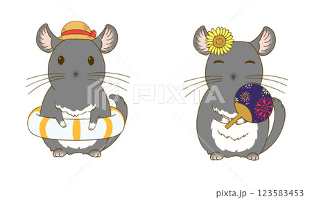 夏のチンチライラストセット(ブラックベルベット) 123583453