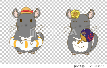 夏のチンチライラストセット(ブラックベルベット) 123583453