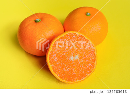 黄色背景で撮影したセトカ 黄色背景で撮影したセトカ 123583618