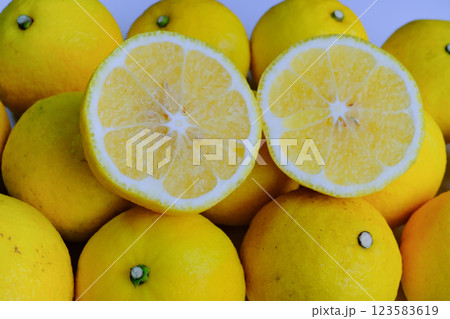 白背景で撮影したはるか 白背景で撮影したはるか 123583619