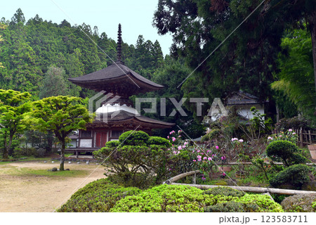 高野山　金剛三昧院の多宝塔 123583711