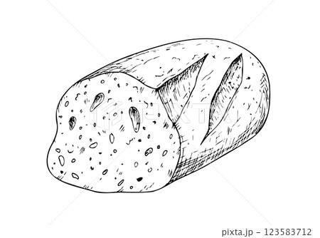 Vector slice of bread, bakery. Graphic ink loaf food, whole grain bread, ciabatta, brown homemade, baguette. Bun illustration isolated on background. Hand drawn line sketch. For designers, prints 123583712