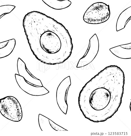 Seamless hand drawn avocado pattern in black and white, perfect for textiles, wrapping paper, and kitchen decor. Vintage style vector illustration with detailed line art. With an isolated backgrounds Seamless hand drawn avocado pattern in black and white, perfect for textiles, wrapping paper, and kitchen decor. Vintage style vector illustration with detailed line art. With an isolated backgrounds 123583715