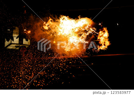 東大寺お水取りお松明 東大寺お水取りお松明 123583977