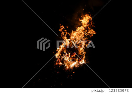 東大寺お水取りお松明 123583978