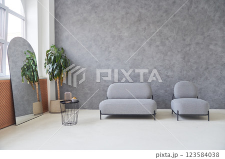 The modern interior design of the house is characterized by an elegant living room with a comfortable sofa, gray walls and indoor plants. Free space for your design. High quality photo 123584038
