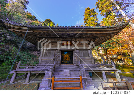 晩秋の円通院・三慧殿(宮城県宮城郡松島町) 123584084