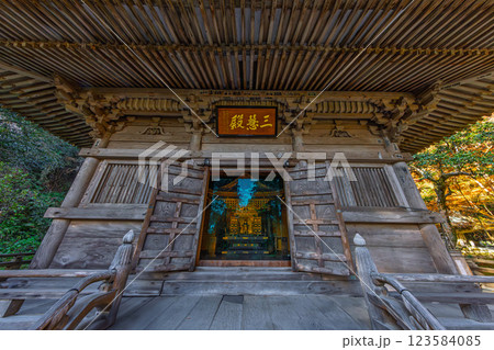 晩秋の円通院・三慧殿(宮城県宮城郡松島町) 123584085