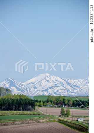 春の晴れた日の畑作地帯と残雪の山並み 春の晴れた日の畑作地帯と残雪の山並み 123584118