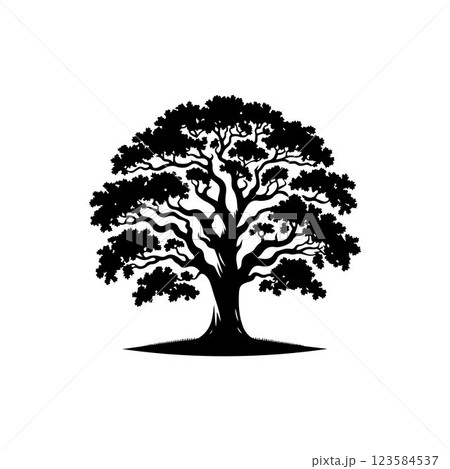 Classic Oak tree silhouette vector art template design Classic Oak tree silhouette vector art template design 123584537