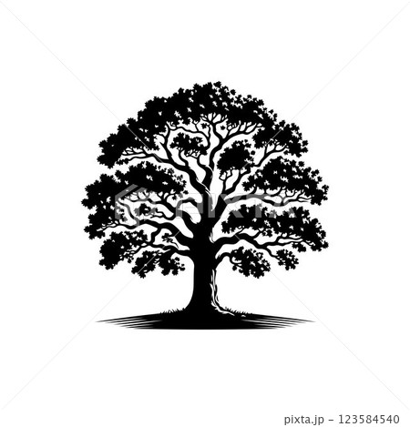 Classic Oak tree silhouette vector art template design Classic Oak tree silhouette vector art template design 123584540