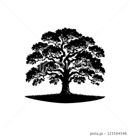Classic Oak tree silhouette vector art template design Classic Oak tree silhouette vector art template design 123584546