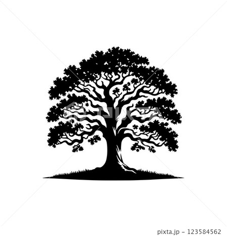 Classic Oak tree silhouette vector art template design Classic Oak tree silhouette vector art template design 123584562