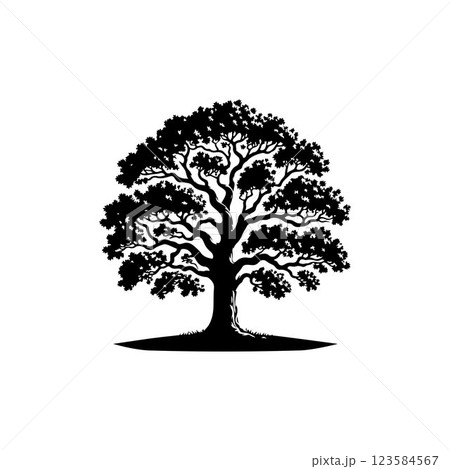 Classic Oak tree silhouette vector art template design Classic Oak tree silhouette vector art template design 123584567