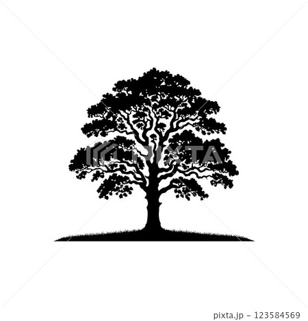 Classic Oak tree silhouette vector art template design Classic Oak tree silhouette vector art template design 123584569