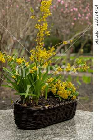 Large round stone table on beautiful terrace, patio garden. Empty Place to relax outdoor in backyard. Vintage Potted flowers. Cozy little back yard terrace Large round stone table on beautiful terrace, patio garden. Empty Place to relax outdoor in backyard. Vintage Potted flowers. Cozy little back yard terrace 123584714