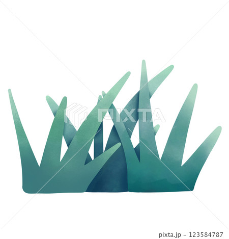 Grass 123584787