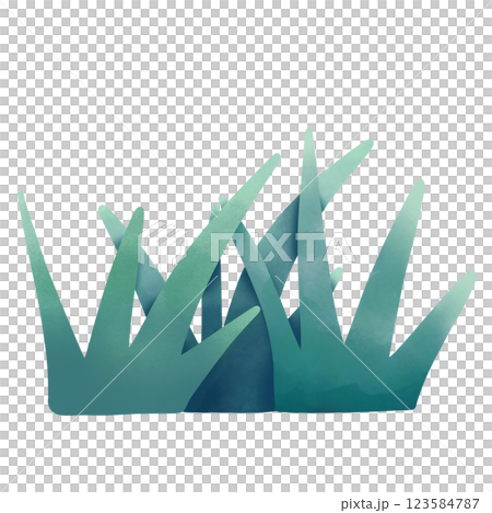 Grass 123584787