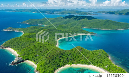 空から見た海 空から見た海 123585004