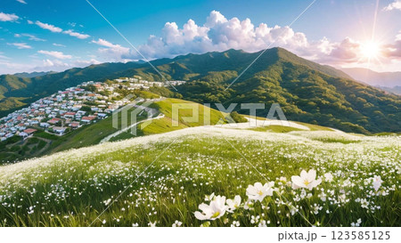 水仙の花咲く高原から見る朝の風景 水仙の花咲く高原から見る朝の風景 123585125