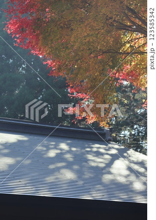 (比叡山 延暦寺もみじ)002 (比叡山 延暦寺もみじ)002 123585342