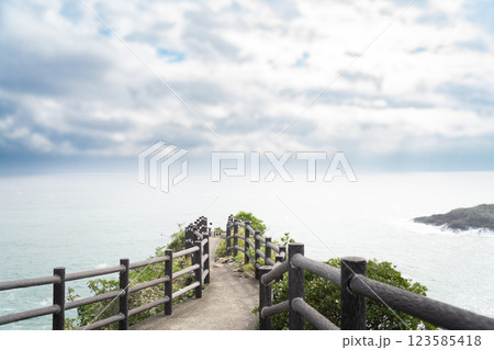 海へと繋がる一本道 海へと繋がる一本道 123585418