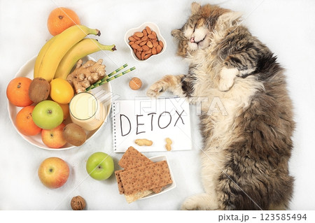 Cozy home office with fat sleeping cat,fruits, nuts,bread and smoothie on light blanket,healthy breakfast with ingredients, detox diet and weight loss concept, healthy lifestyle, modern female Cozy home office with fat sleeping cat,fruits, nuts,bread and smoothie on light blanket,healthy breakfast with ingredients, detox diet and weight loss concept, healthy lifestyle, modern female 123585494