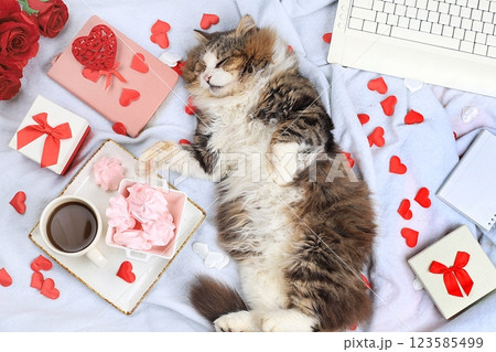 Modern woman work desk, cozy home office with cat, valentine's day concept. Computer, coffee latte, red hearts, flowers and meringues on a light blanket, healthy lifestyle, flat lay, selective focus. Modern woman work desk, cozy home office with cat, valentine's day concept. Computer, coffee latte, red hearts, flowers and meringues on a light blanket, healthy lifestyle, flat lay, selective focus. 123585499