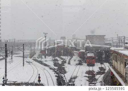 雪の降り積もる線路【JR/あいの風とやま鉄道 高岡駅構内】 雪の降り積もる線路【JR/あいの風とやま鉄道 高岡駅構内】 123585591