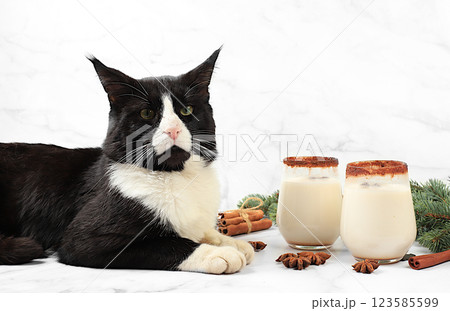 A large forest cat, Maine Coon, on the table with Eggnog with cinnamon and nutmeg, the concept of Christmas and winter holidays. Warming egg drink during the cold season, selective focus 123585599
