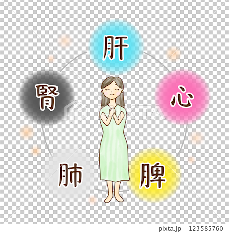 五臓のイメージに囲まれた若い女性のイラスト 123585760