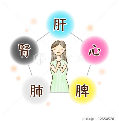 五臓のイメージに囲まれた若い女性の上半身のイラスト 五臓のイメージに囲まれた若い女性の上半身のイラスト 123585761