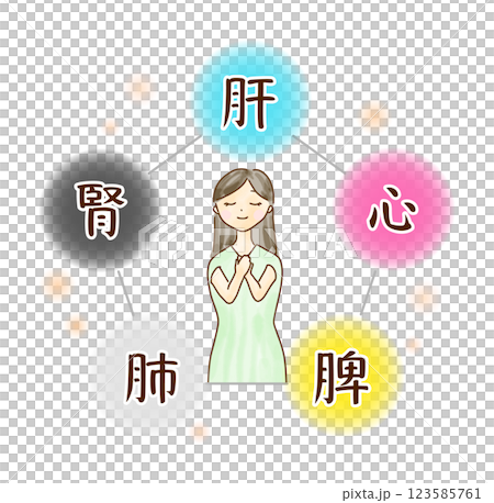 五臓のイメージに囲まれた若い女性の上半身のイラスト 五臓のイメージに囲まれた若い女性の上半身のイラスト 123585761