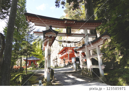 達谷窟毘沙門堂　参の鳥居 123585971