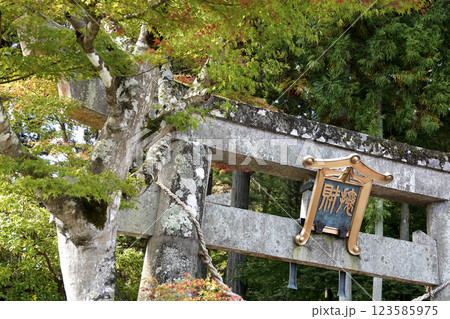 達谷窟毘沙門堂 壱の鳥居と色づく樹々 123585975