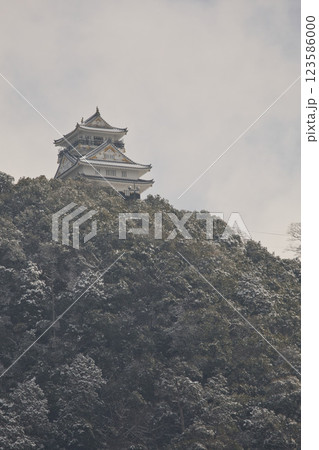 岐阜　岐阜城天守閣と金華山3 123586000