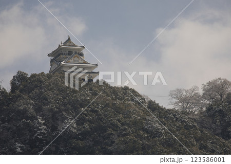 岐阜　岐阜城天守閣と金華山4 123586001