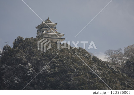 岐阜 岐阜城天守閣と金華山6 岐阜 岐阜城天守閣と金華山6 123586003