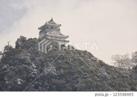 岐阜　岐阜城天守閣と金華山8 123586005