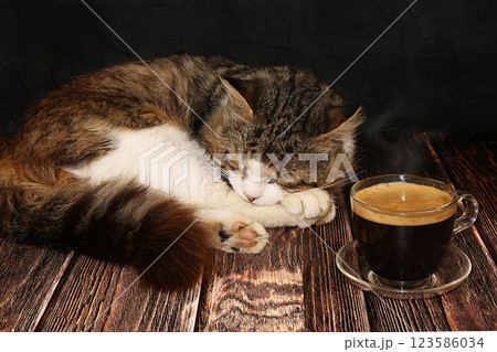Coffee latte and a sleeping cat on a dark wooden table. The warmth of our house is surrounded by a happy pet. Coffee and a cat will warm us on cold autumn evenings. 123586034